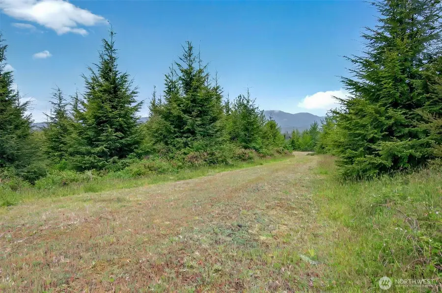 5 Parpala Road #5, Naselle, WA 98638 - #3