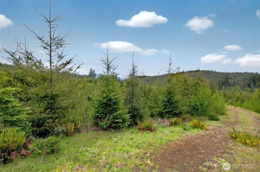 1 Parpala Road #1, Naselle, WA 98638 - Image #2