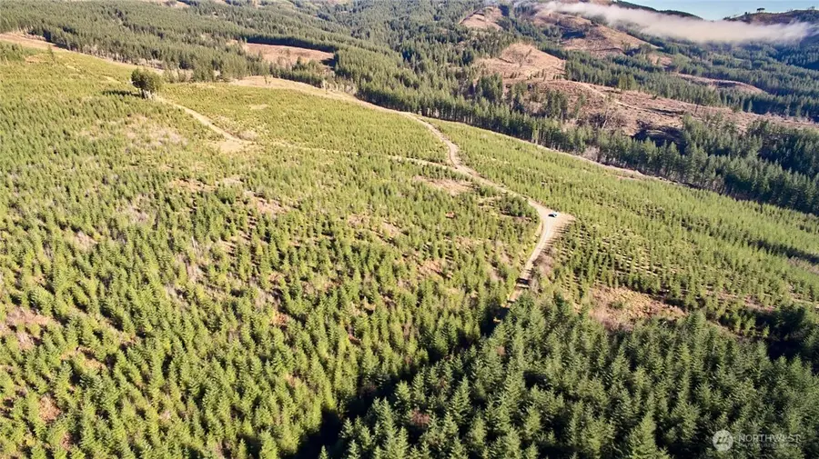 4 NE Jones Creek Road #4, Camas, WA 98607 - Image #2