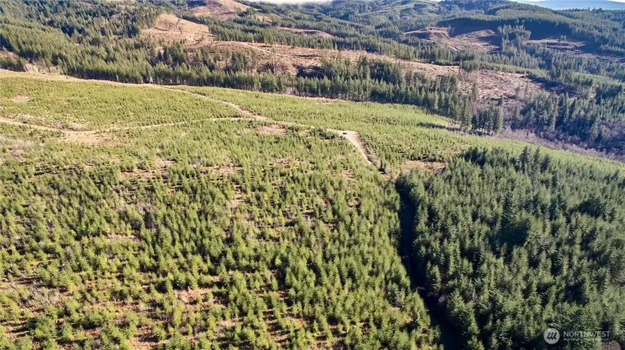 4 NE Jones Creek Road #4, Camas, WA 98607 - Image #3