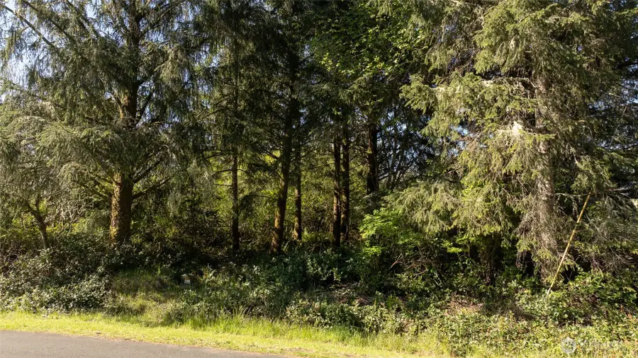 893 Albion Avenue Se #441, Ocean Shores, WA 98569 - Image #2