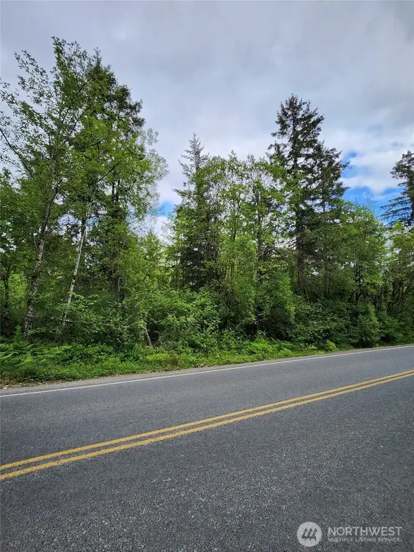 0 Henriot Road, Toledo, WA 98591
