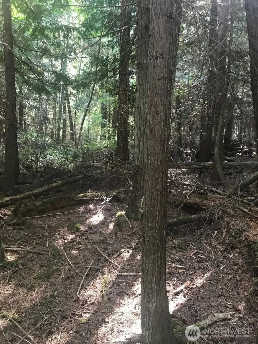 0 Channel Road, Lopez Island, WA 98261 - Image #3