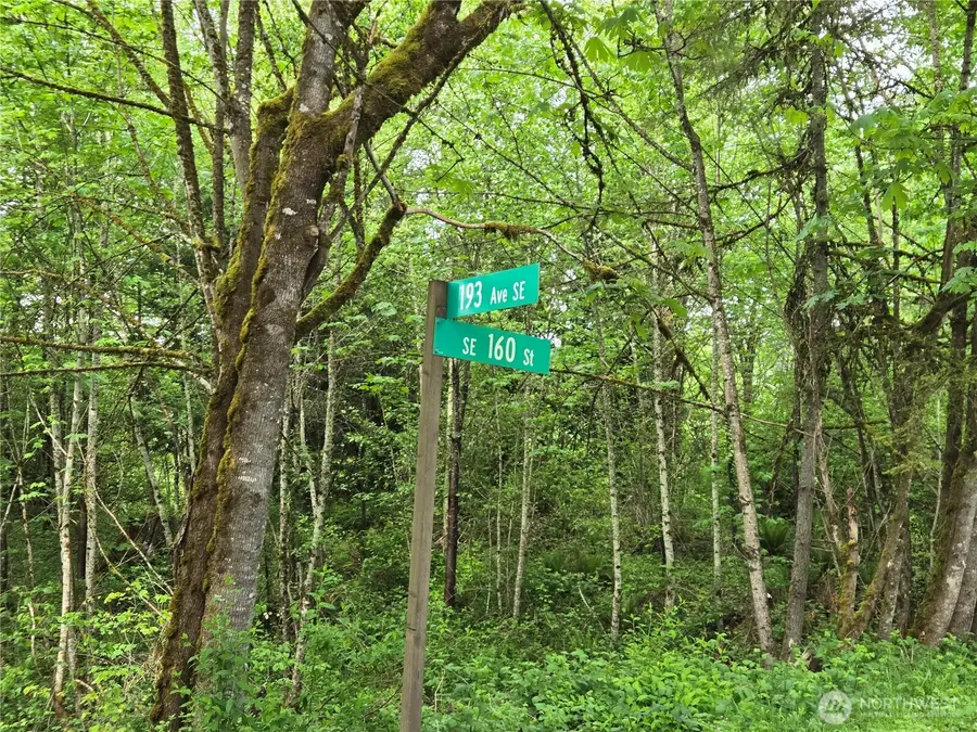 160 193rd Ave Se, Renton, WA 98058 - Image #3