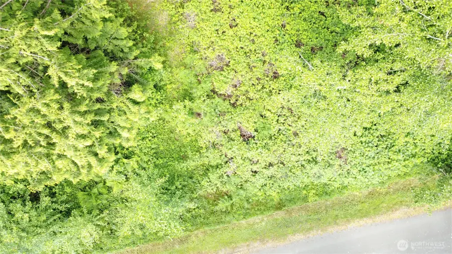 99 Port Susan Drive, Hat Island, WA 98206 - Image #2