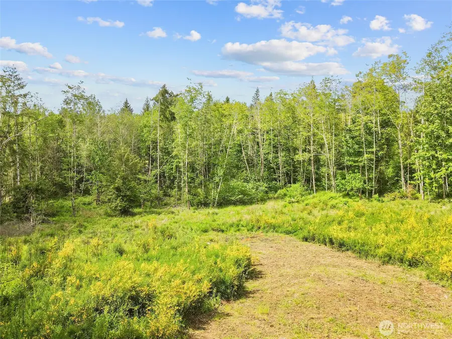 80 E Cascara Cove Lane, Shelton, WA 98584 - Image #2