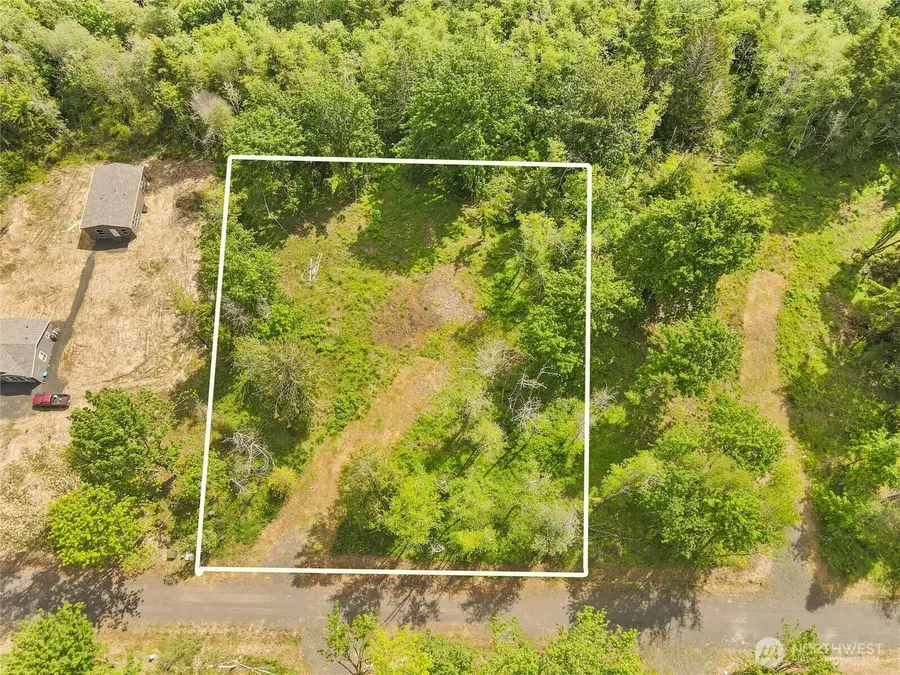 91 E Cascara Cove Lane, Shelton, WA 98584 - Image #3