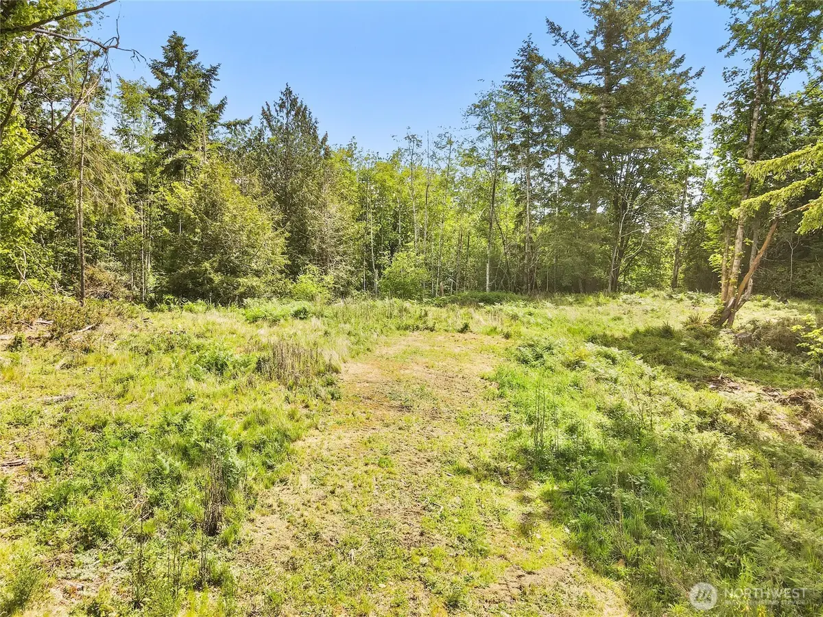 131 E Cascara Cove Lane, Shelton, WA 98584 - Image #1