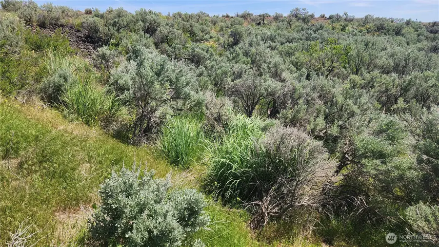 0 285 Meadows (lots 11, 12 & 13) Drive #11, 12 & 13, Ephrata, WA 98823 - Image #2