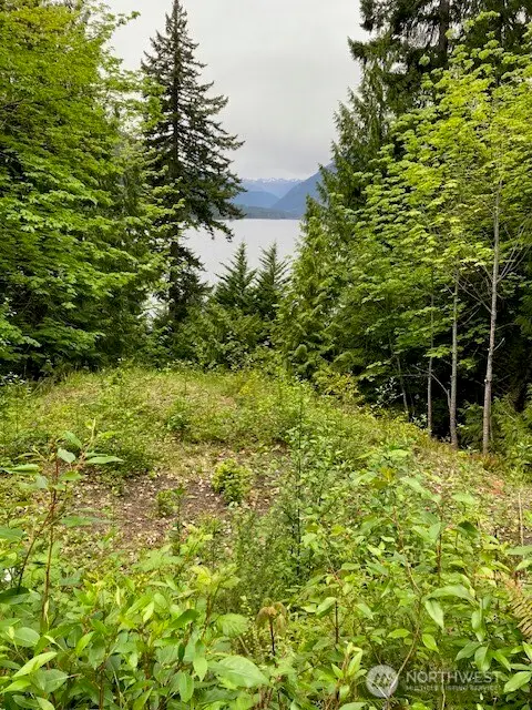 246 N Lakeshore Place #2, Hoodsport, WA 98548 - Image #3