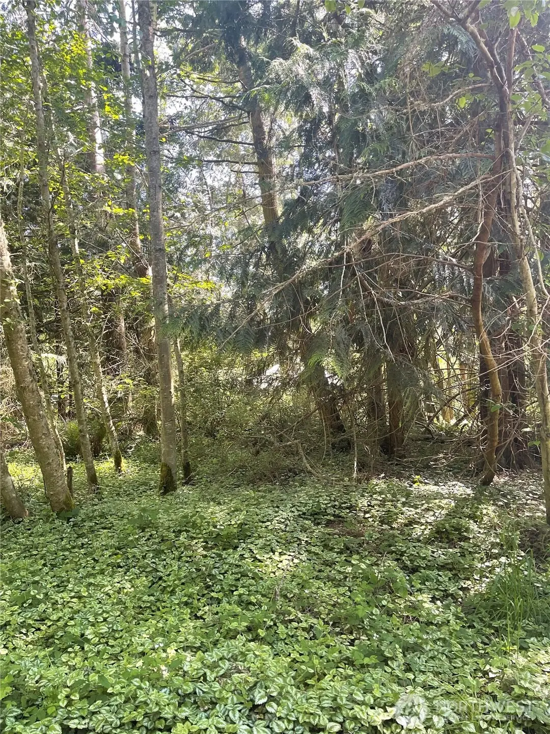 1321 54th Street #S 2 & 4, Port Townsend, WA 98368 - Image #1