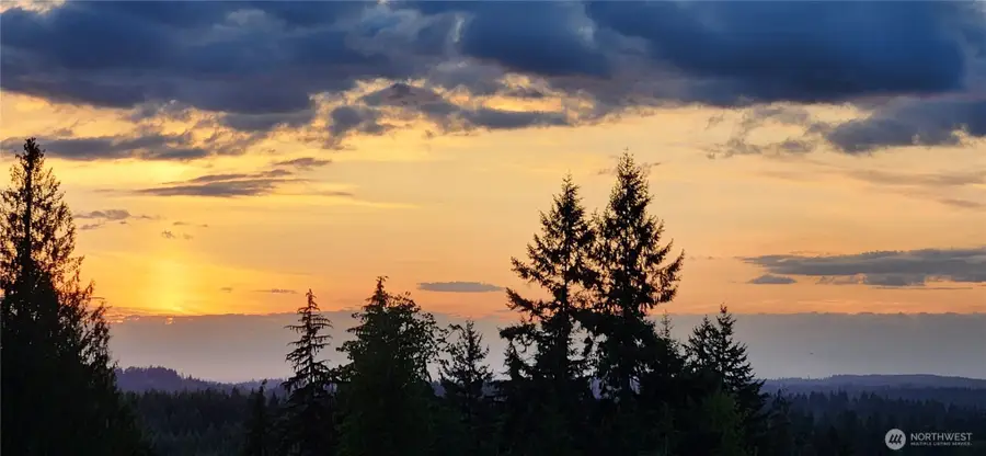 28118 163rd Street E, Wilkeson, WA 98396 - #3