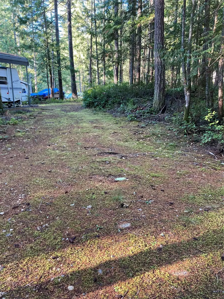 20 N Mt Jupiter Court #99, Hoodsport, WA 98548 - Image #2