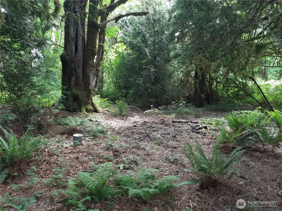 0 Center Street #43, Concrete, WA 98237 - Image #2