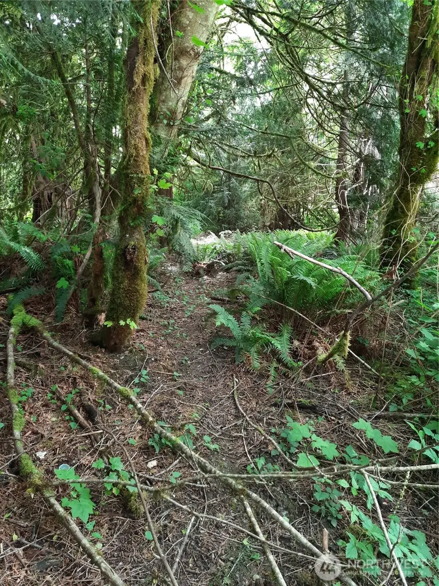 0 Center Street #43, Concrete, WA 98237 - Image #3