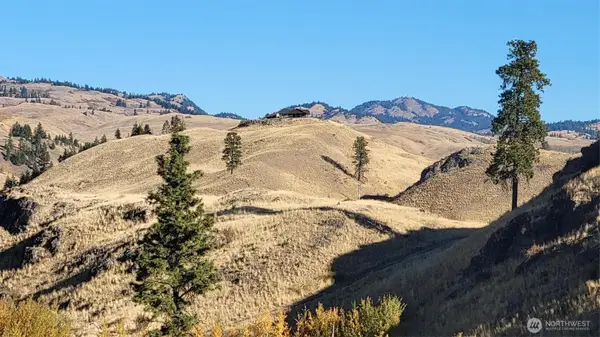 0 Harrier Lane, Tonasket, WA 98855