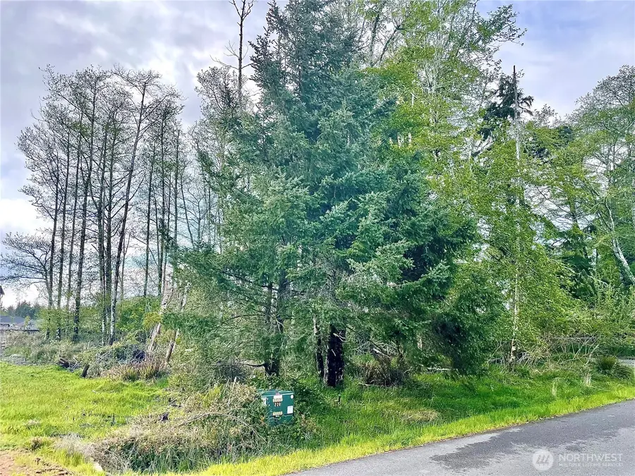 513 Chenois Avenue Ne #221, Ocean Shores, WA 98569 - Image #3