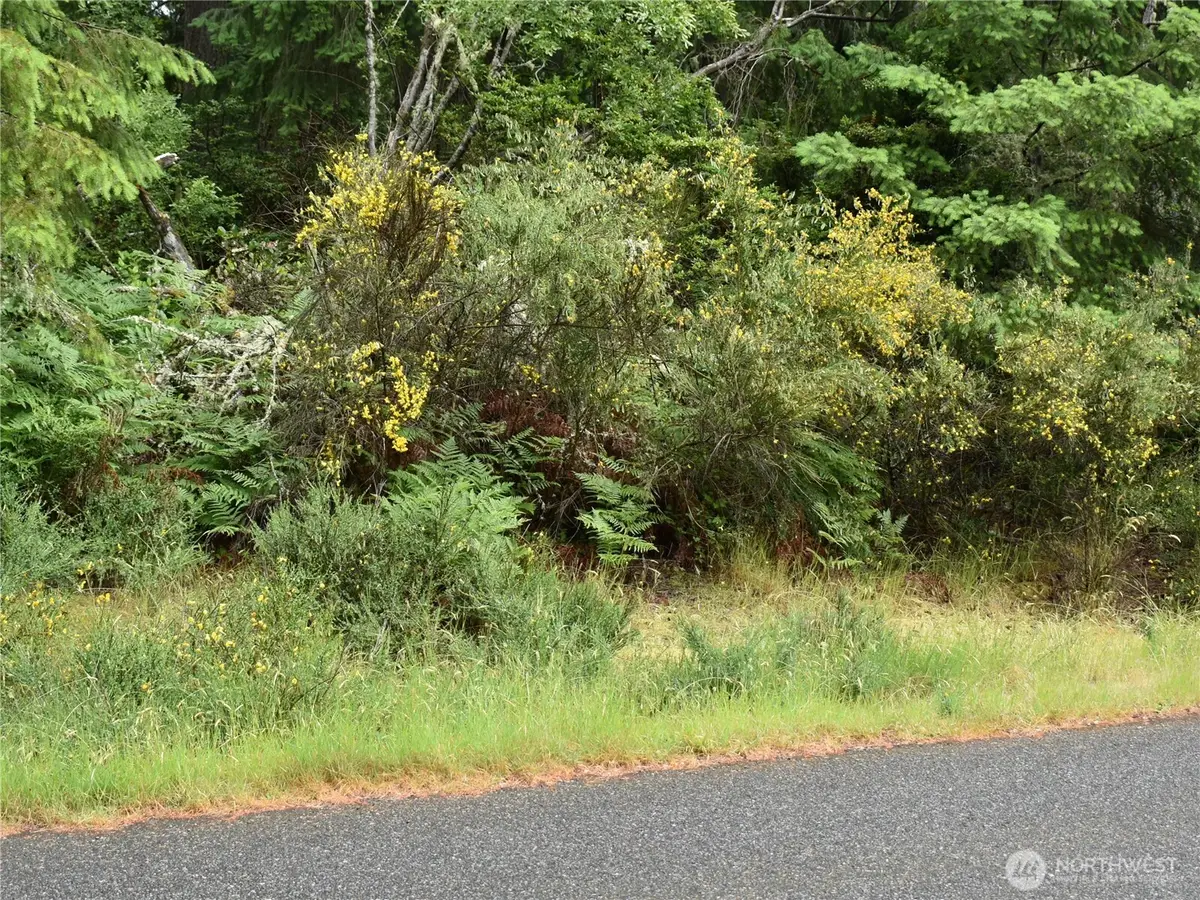 10921 Pioneer Drive, Anderson Island, WA 98303 - Image #1