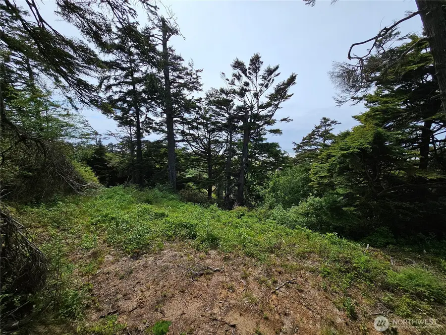 4128 St Route 109, Pacific Beach, WA 98571 - Image #2