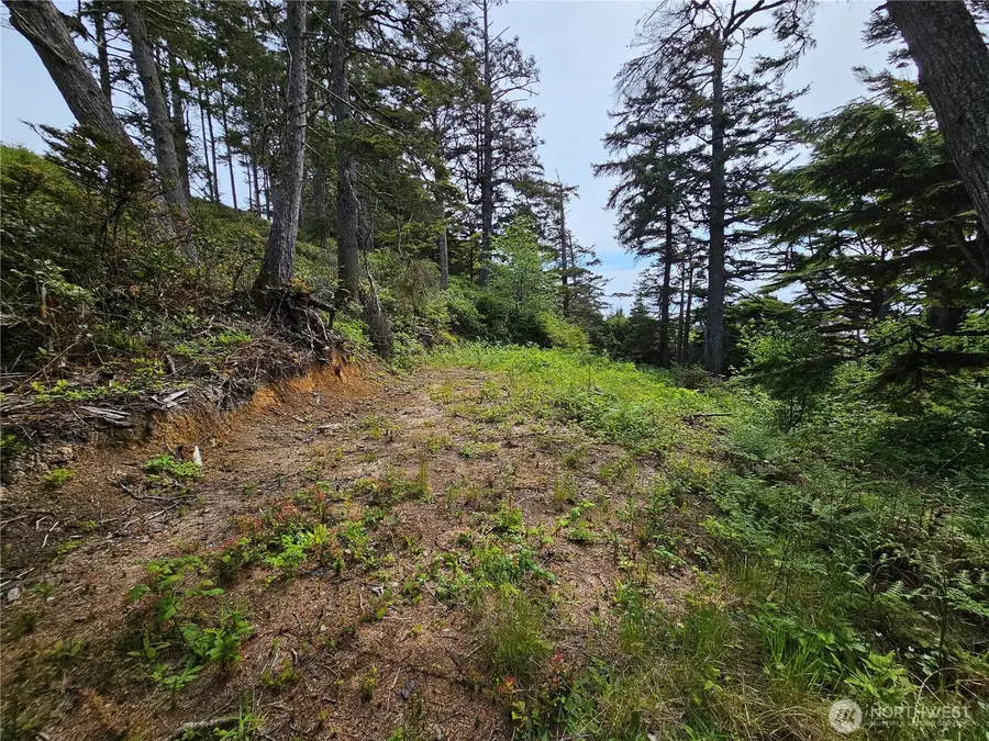 4128 St Route 109, Pacific Beach, WA 98571 - Image #3