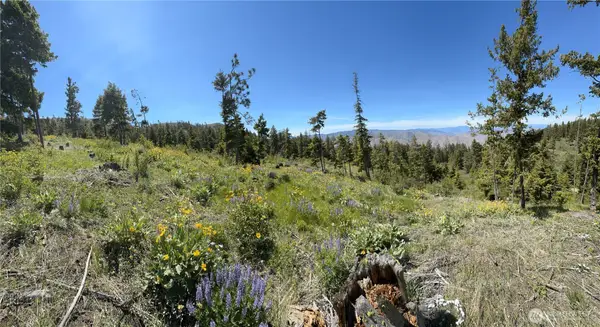 0 Melvin Road, Waterville, WA 98858