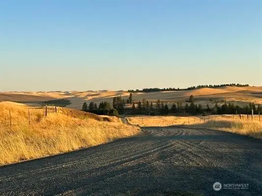 0 Main Street #Lot 1, Malden, WA 99149 - Image #2