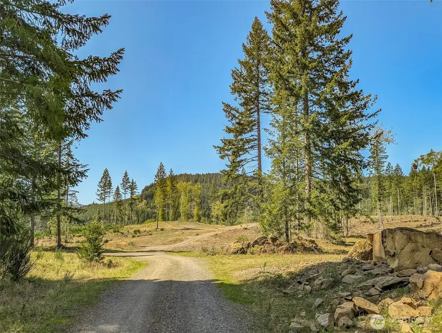 0 Craig Road, Packwood, WA 98361 - Image #3