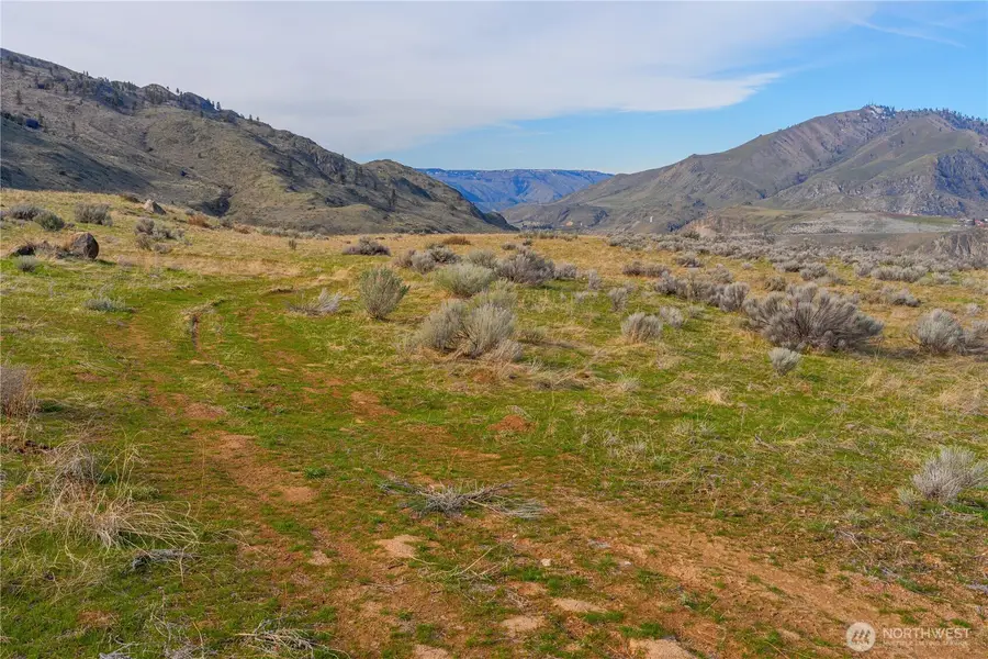 0 Tract 4 Mcneil Canyon #Tract 4, Orondo, WA 98816 - Image #2