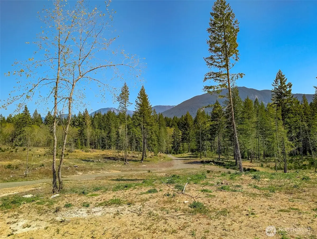 0 Craig Road, Packwood, WA 98361 - Image #1