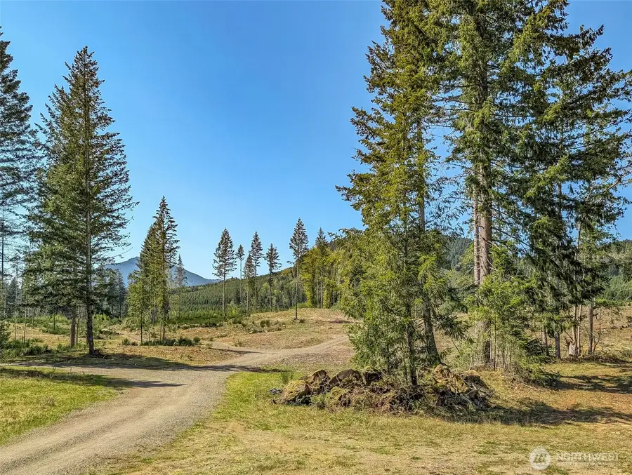 0 Craig Road, Packwood, WA 98361 - Image #3