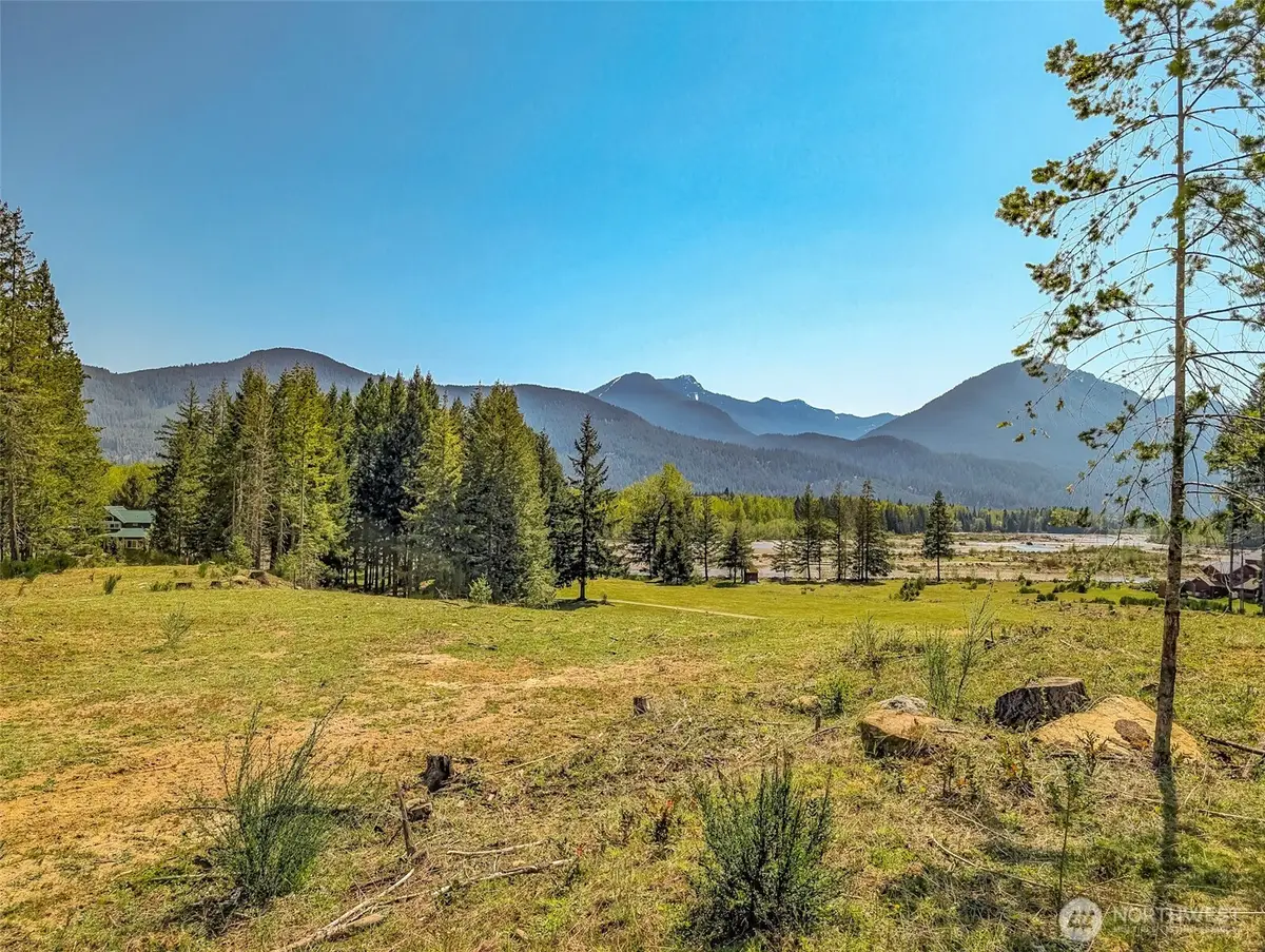 0 Craig Road, Packwood, WA 98361 - Image #1