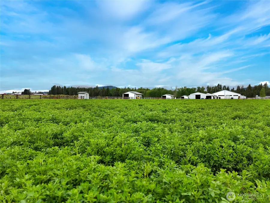 4988 Wallbridge Road, Deer Park, WA 99006 - #3