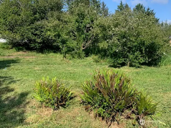0 Ash Place #Lot 168, Ocean Park, WA 98640