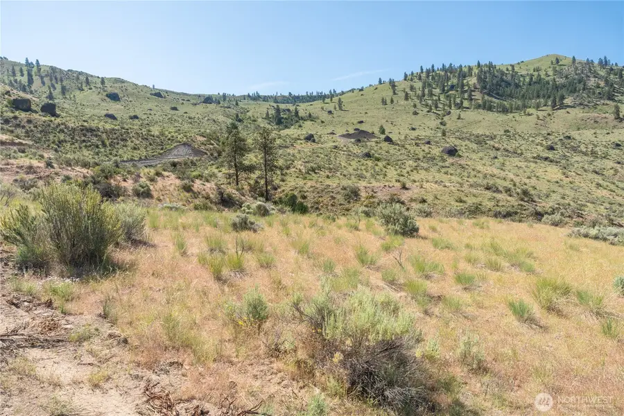 0 Tract 1 Mcneil Canyon Rd #Tract 1, Orondo, WA 98816 - Image #3