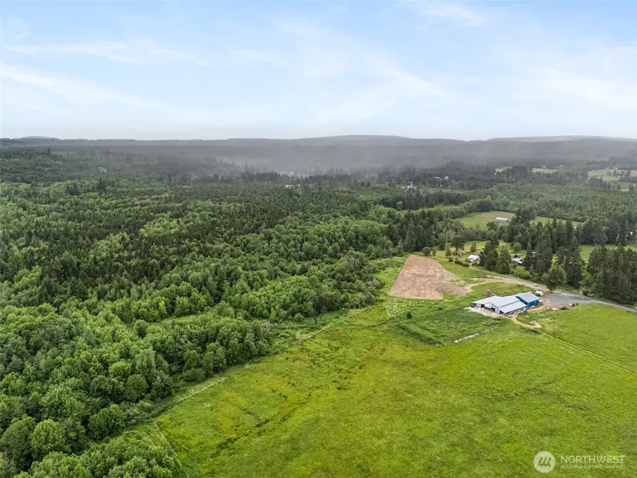 233 Allison Road, Ethel, WA 98542 - Image #3