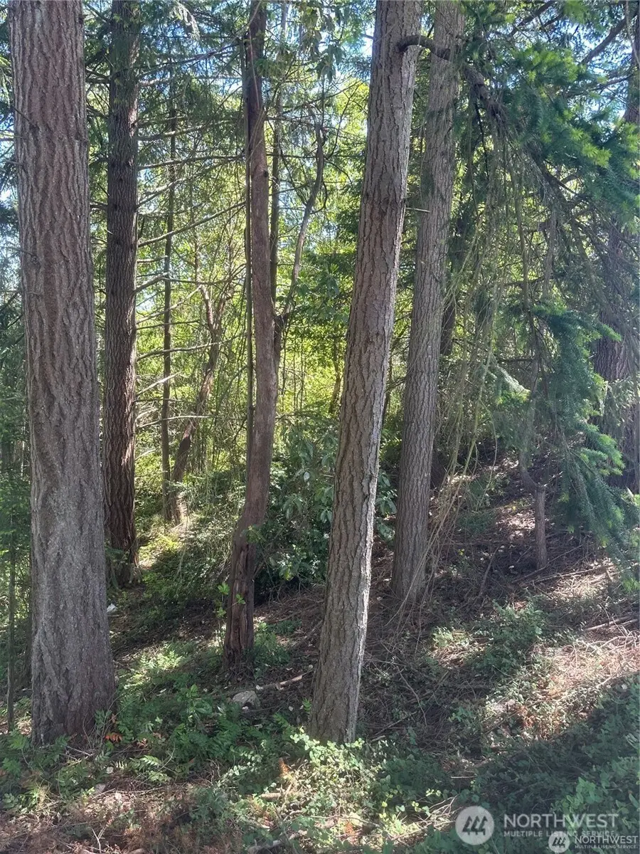 0 Front Avenue W, Bremerton, WA 98312 - Image #2