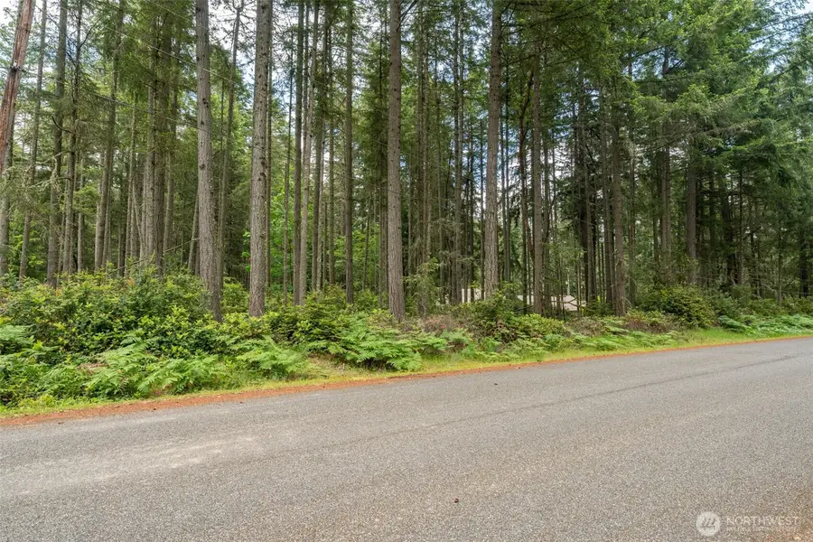 10409 Tahoma Dr, Anderson Island, Anderson Island, WA 98303 - Image #3