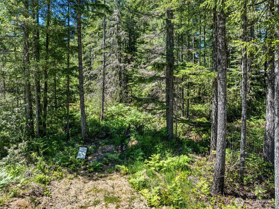 41 NE Creekview Place #62, Tahuya, WA 98588 - Image #3