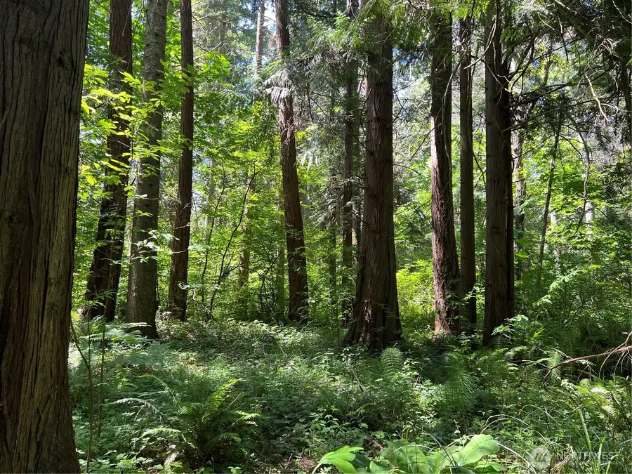 0 6.39 Acres South Beach Road, Point Roberts, WA 98281 - Image #2