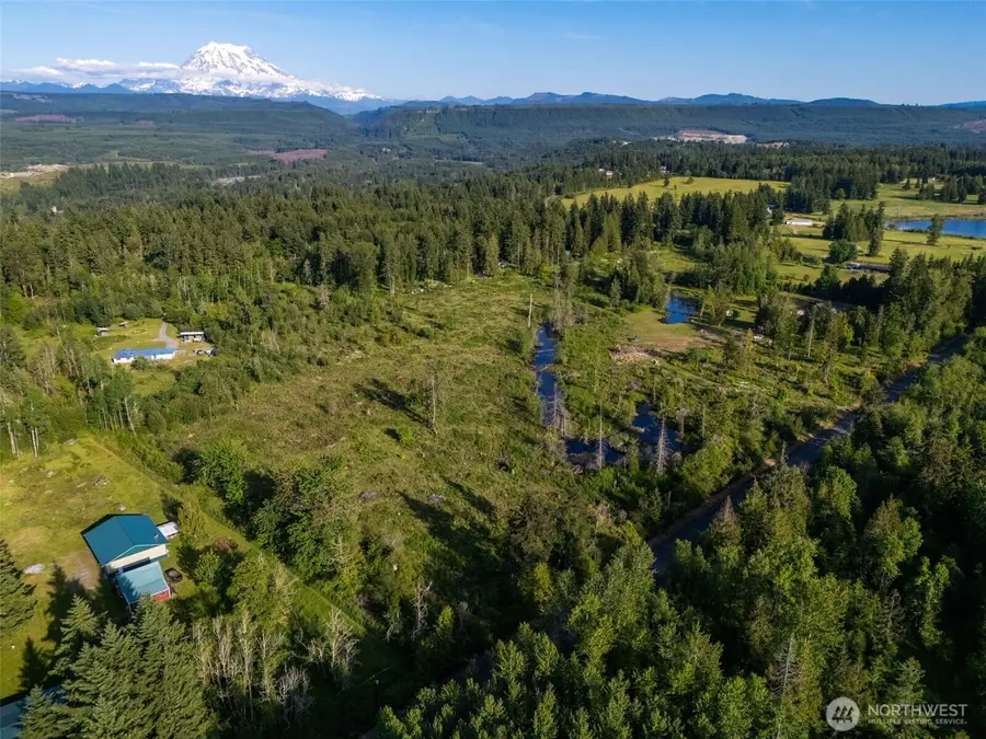 25867 150th Avenue E, Graham, WA 98338 - Image #3