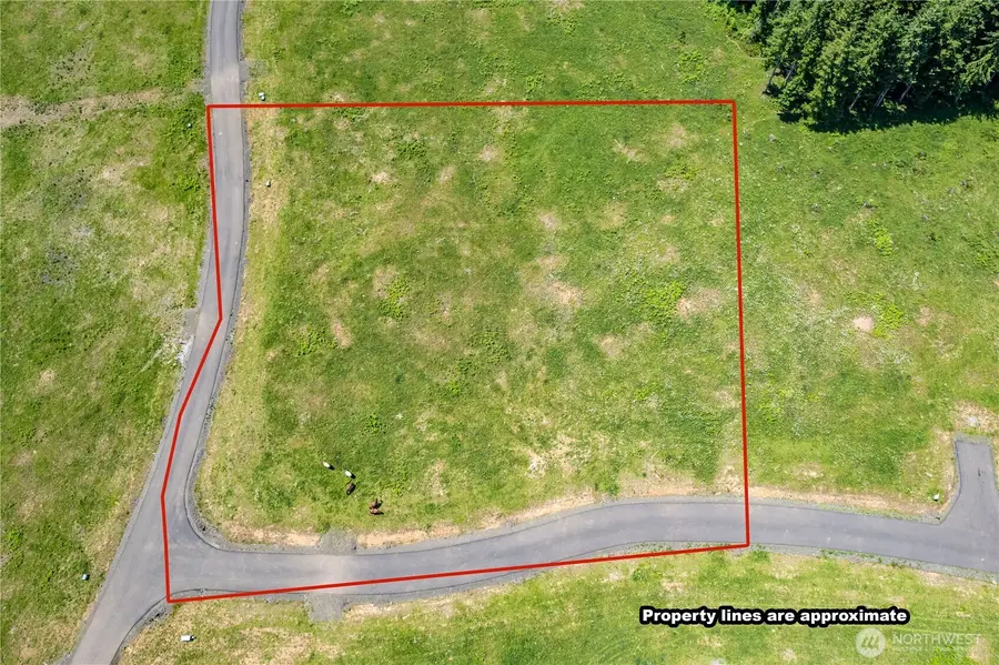 0 Silverwood Drive #Lot H, Castle Rock, WA 98611 - Image #2