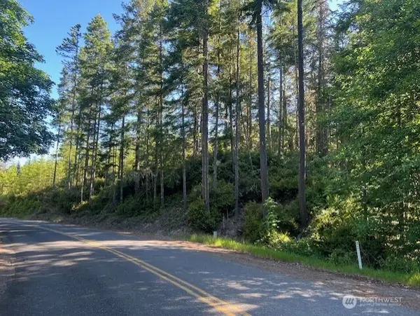 0 NE Tahuya Blacksmith Road #A SP 1796, Belfair, WA 98528