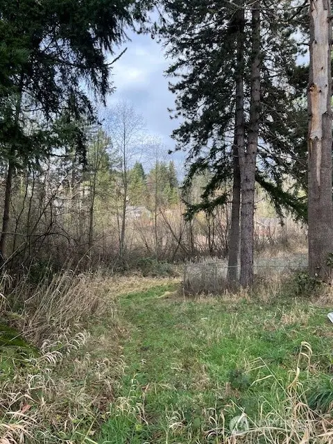 701 Iron Street Dr, Eatonville, WA 98328 - Image #1