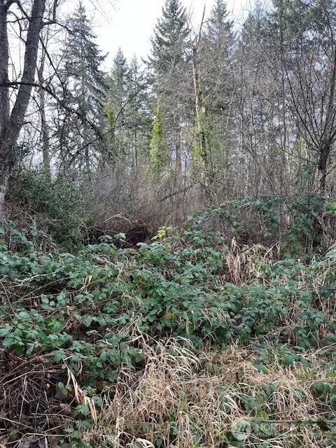 701 Iron Street Dr, Eatonville, WA 98328 - Image #2