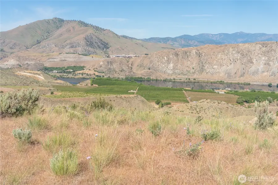 0 Tract 6 Mcneil Canyon Rd #Tract 6, Orondo, WA 98816 - Image #3