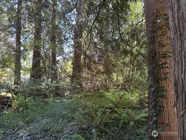 13705 W Lake Kathleen Drive Se, Renton, WA 98059 - Image #3