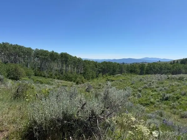 111 Tbd Ellemeham Ridge Road, Oroville, WA 98844