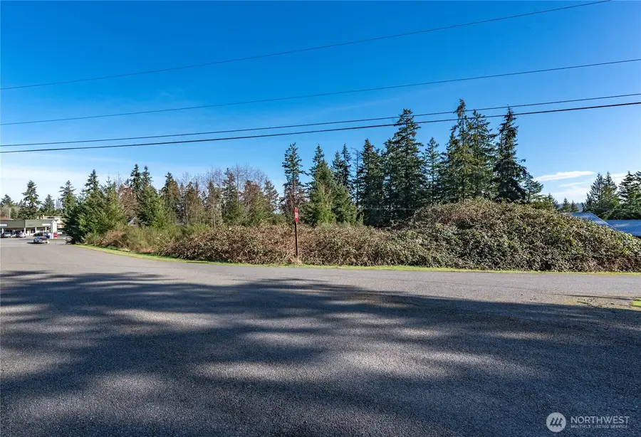 99 Lylus Lane Lot #1 #1, Port Hadlock, WA 98339 - Image #3