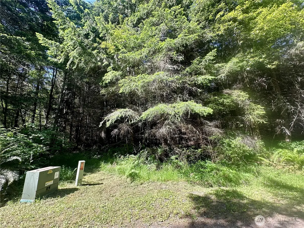 222 Southview Drive, Port Angeles, WA 98363 - Image #1