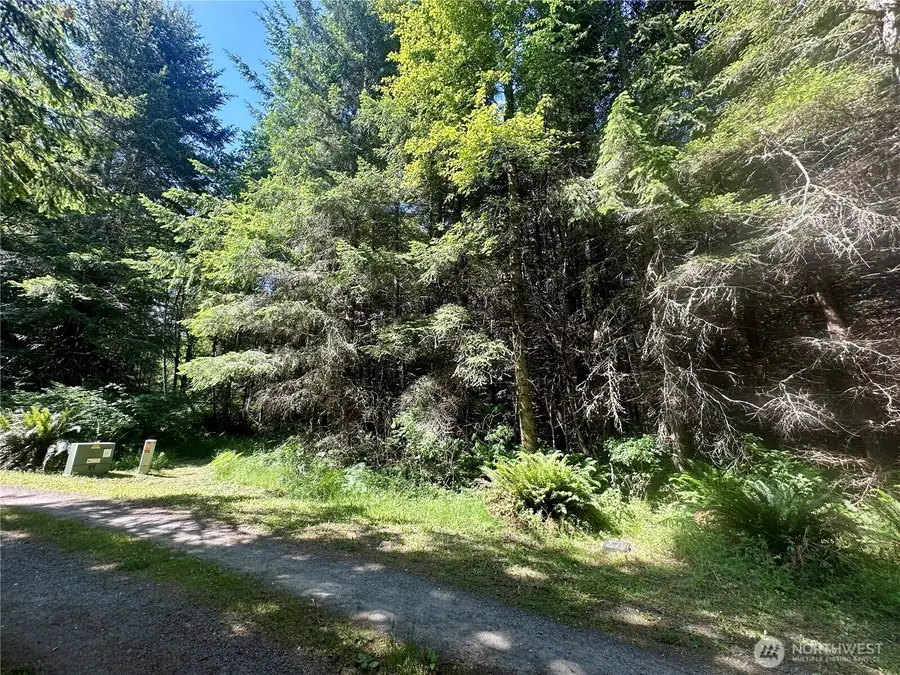 222 Southview Drive, Port Angeles, WA 98363 - Image #2